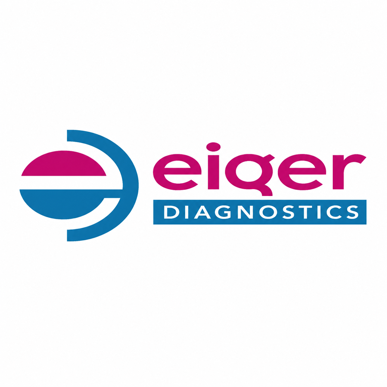 EIGER DIAGNOSTICS INC